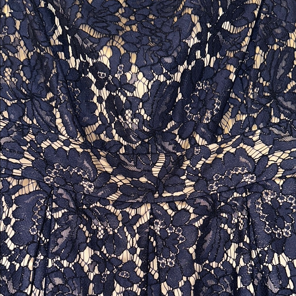 Elegant Navy Lace Dress with Polka Dot Mesh - Picture 6 of 7